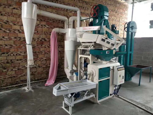 新型組合碾米機 小空間大作為，平穩運行鑄就精品