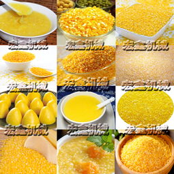 長治家用玉米深加工機(jī)械與碾米機(jī)生產(chǎn)廠家指南